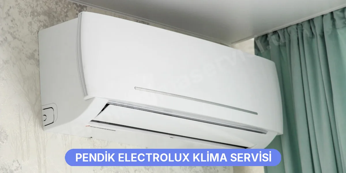 Pendik Electrolux Klima Servisi